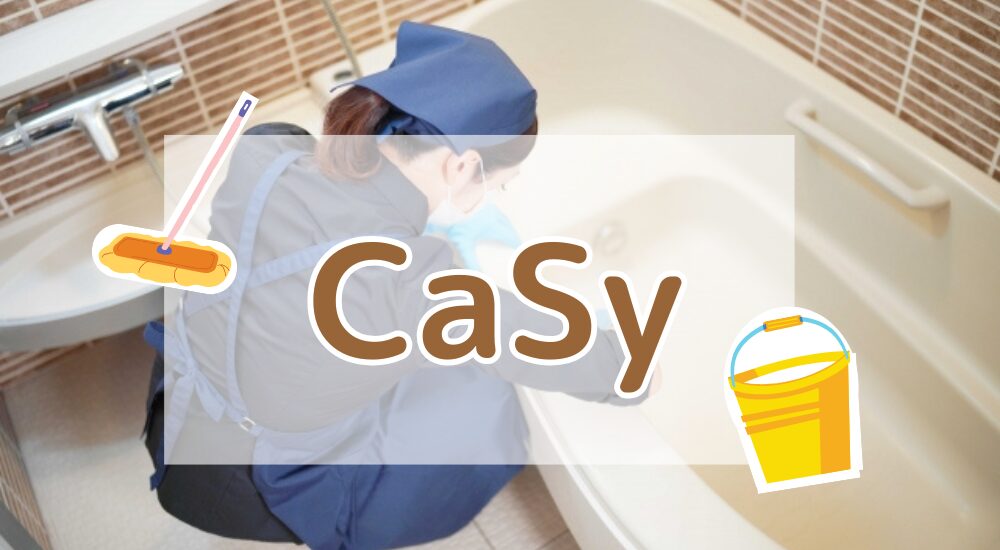 CaSy各社用